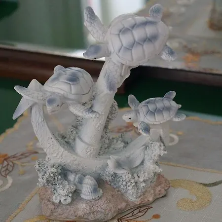 Casa Dello Ionio Al Centro Di *